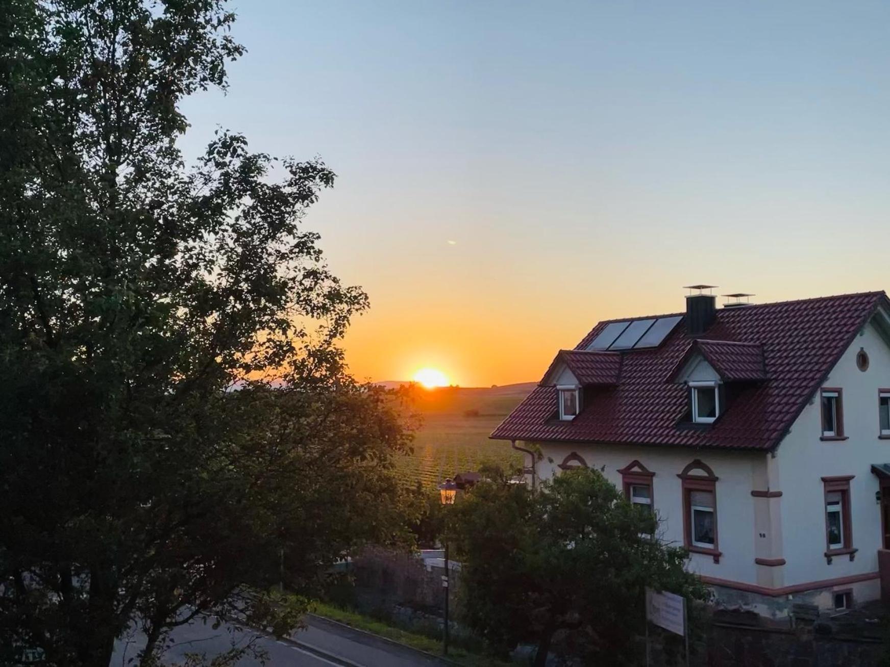 Lp Haus Der Guten Dinge Vogtsburg im Kaiserstuhl Zewnętrze zdjęcie